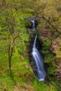 Aira Force Waterfall, Cumbria, England, United Kingdom Royalty Free Stock Photo