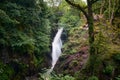 Aira Force Waterfall, Lake District, United Kingdom Royalty Free Stock Photo