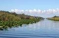 Airboat in Everglades Royalty Free Stock Photo