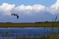 Florida Everglades National Park Waterway