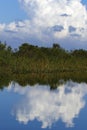 Florida Everglades National Park Waterway Royalty Free Stock Photo