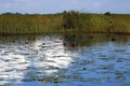Florida Everglades National Park Waterway