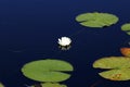 Florida Everglades National Park Waterway