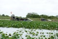 Airboats in Everglades National Park, South Florida