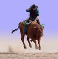 Airborne on a Bull Royalty Free Stock Photo