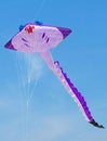 Airborne Stingray Kite in Blue Sky