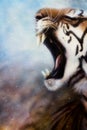 Airbrush painting tiger head