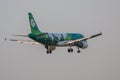 Airbus a320 Aer Lingus landing