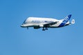 Airbus Beluga Royalty Free Stock Photo