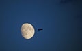 Aircraft fling close to the moon on a blue sky