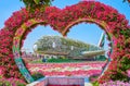 The aircraft in flowers, Miracle Garden, Dubai, UAE