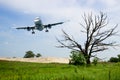 Aircraft landing gear, ready for planting Royalty Free Stock Photo