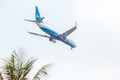 Aircraft or Plane of Xiamen Airlines or Airways on the sky landing to Suvanabhumi airport with blurry top part of coconut tree on