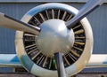 Aircraft propellers, motor with propeller blades