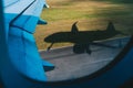 Aircraft shadow through the plane window Royalty Free Stock Photo