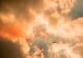 An aircraft silhouetted in a fiery cloudbank