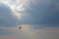 AIRCRAFT IN THE SKY DOING AEROBATIC DISPLAY