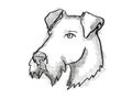 Airdale Terrier Dog Breed Cartoon Retro Drawing