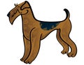 Airedale Terrier