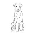 Airedale Terrier Dog. hand drawn. Vector illustration Royalty Free Stock Photo