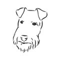 Airedale Terrier Dog. hand drawn. Vector illustration Royalty Free Stock Photo
