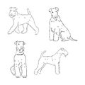 Airedale Terrier Dog. hand drawn. Vector illustration Royalty Free Stock Photo