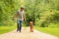 Airedale Terrier. Dog handler is walking with his obedient dog on the road in a forest