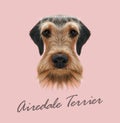 Airedale Terrier Dog Portrait.