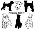 Airedale terrier set. Collection of pedigree dogs. Black white illustration of a airedale terrier dog. Vector drawing of