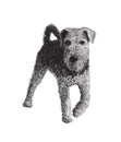 Airedale terrier sketch vector graphics vector illustration Royalty Free Stock Photo