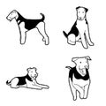 Airedale Terrier Vector Illustration Hand Drawn Animal Cartoon Art