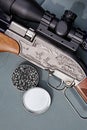 Airgun and bullets Royalty Free Stock Photo