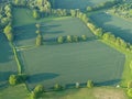 Airiel view of fields with trees and long shadows