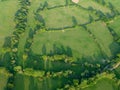 Green fields and trees seen from above