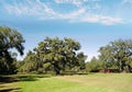 The Airlie Oak tree , estimated to be over 400 years old, in Wilmington , NC