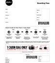 Airline Boarding pass