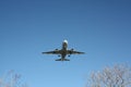 Airline Passenger Plane Coming in over trees.