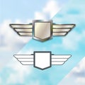 Airline Silver Logo Concept