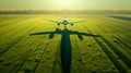 Airliner above a green field. Generative AI