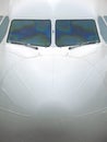 Airliner nose Royalty Free Stock Photo