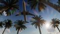 Airliner passing over palm trees