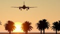 Airliner passing over palm trees Royalty Free Stock Photo