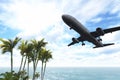 Airliner passing over palm trees Royalty Free Stock Photo