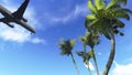 Airliner passing over palm trees Royalty Free Stock Photo