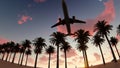 Airliner passing over palm trees