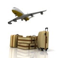 Airliner and suitcases