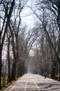 Airmen boulevard walk