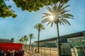 Airoport of Barselona - alley of Palm trees and Pines and taxi in distance anÃÂ² people