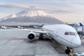 Airplaine passenger stop on run way of Heneda international airport with Fuji mountain background,