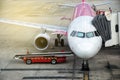 Airplane in airport serviced by the ground crew. Loading cargo into the aircraft before departure.Preparation of the airplane Royalty Free Stock Photo